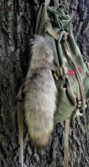 Image of Coyote Tail Keychain