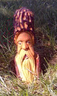 Morel People #8