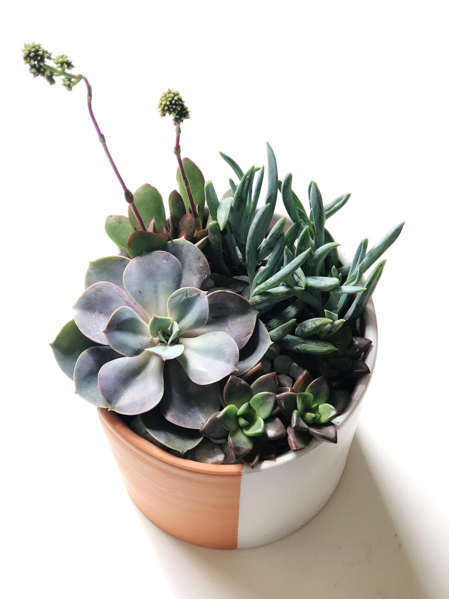 Image of LARGE CUSTOM ARRANGEMENT 