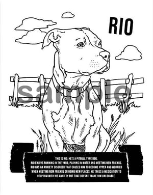 Image of Different but Lovable: A Misfit Manor Coloring Book