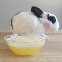 Image 1 of Bubble Bowl