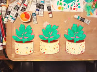 Image 4 of Confetti-Funfetti Succulents 
