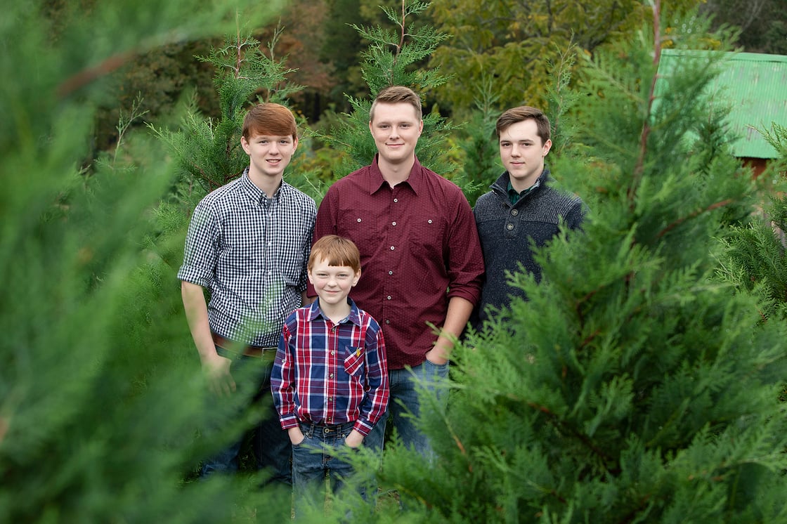 Image of  CHRISTMAS TREE FARM mini session