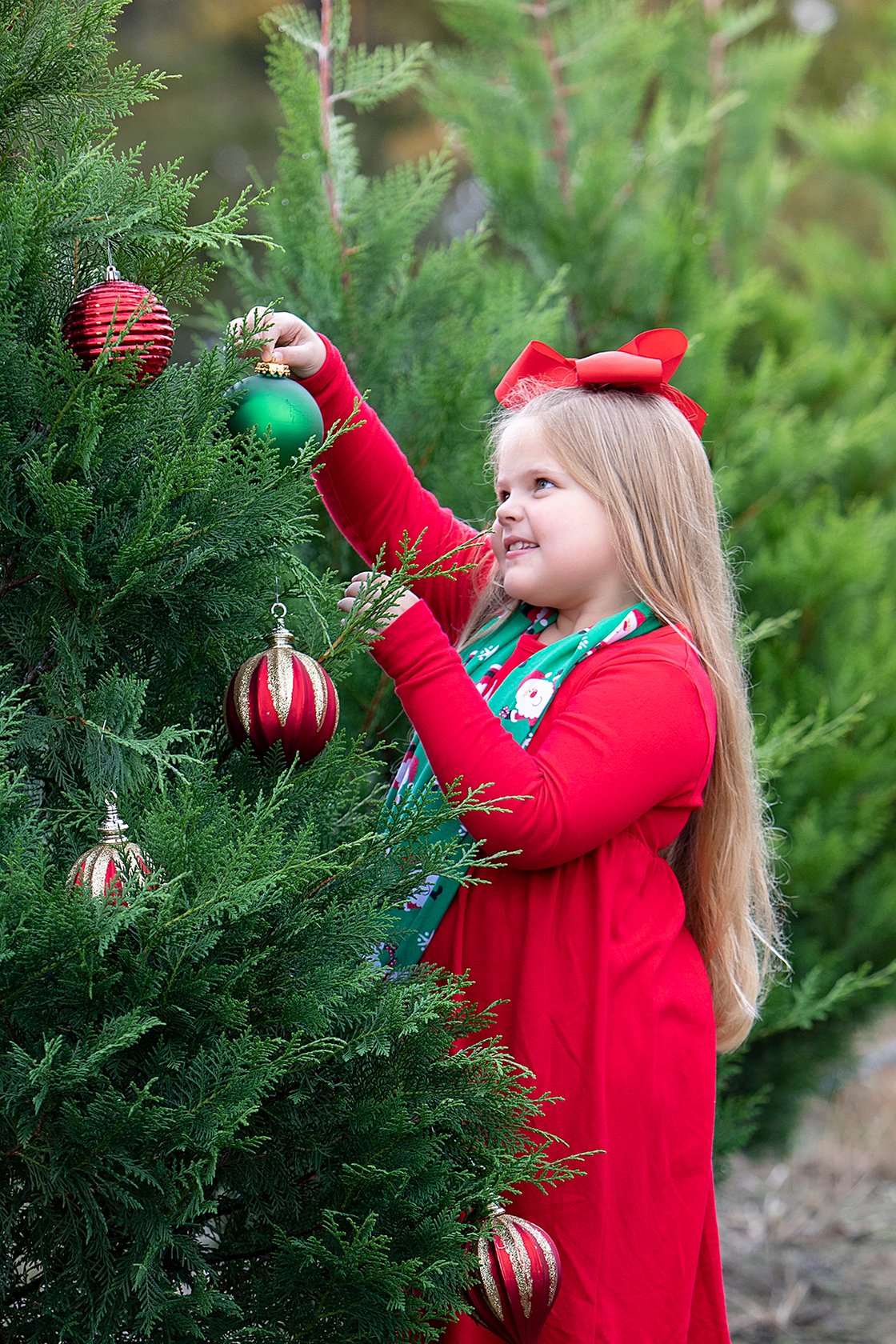 Image of  CHRISTMAS TREE FARM mini session