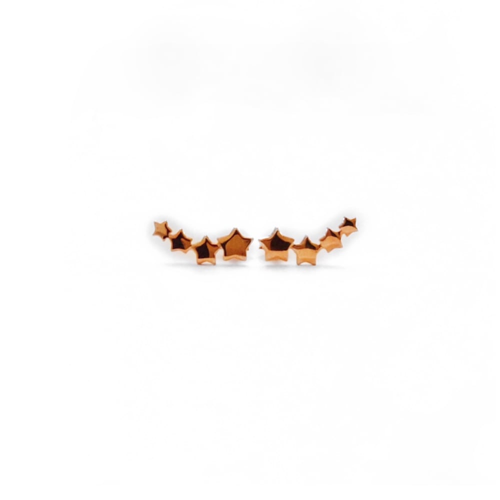 Image of Rose Gold Star Climber Earrings