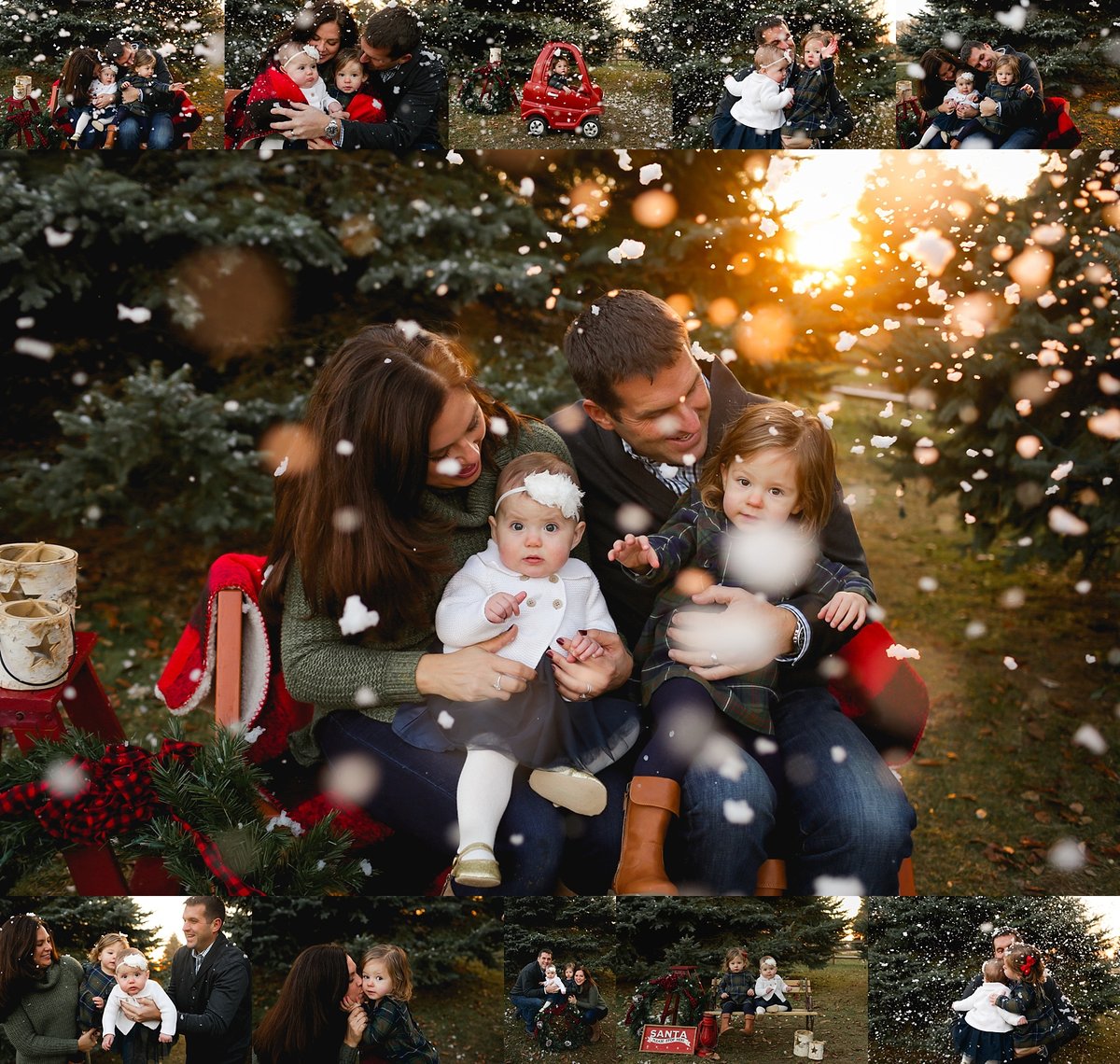 Image of Winter/Holiday Mini Session-Outdoors ($100 booking-DEPOSIT ONLY) $349 Sat/Sun & $325 Fri