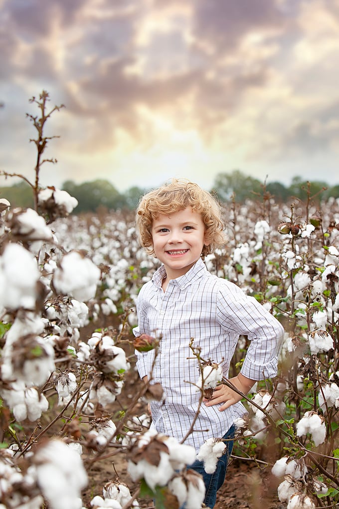 Image of Cotton Field  Mini Session 