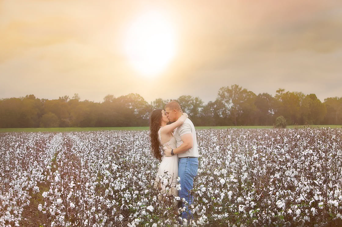 Image of Cotton Field  Mini Session 