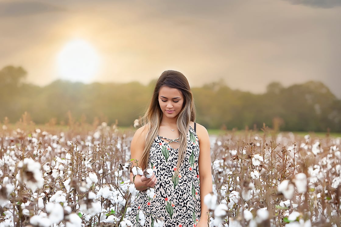 Image of Cotton Field Mini Session