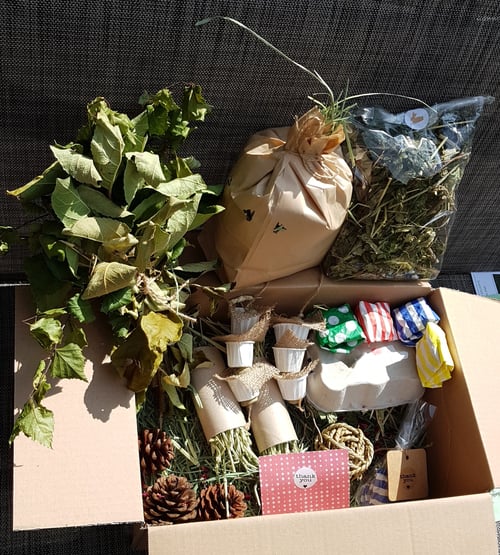 Image of Dried Delights Mystery Box (different sizes available)