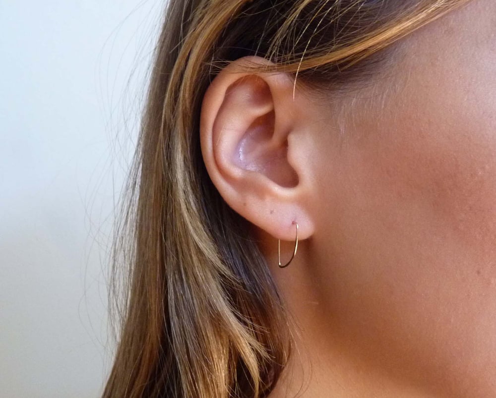 Image of Wedge earring
