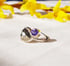Amethyst and Pyrite Ring Image 2