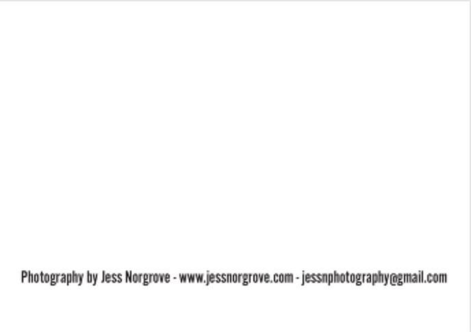 Image of Pack of 5 A5 postcards