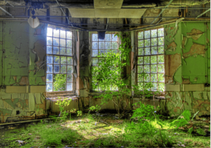 Image of Pack of 5 A5 postcards