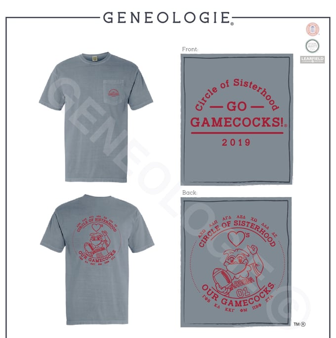 Image of Grey Circle of Sisterhood Game Day T-Shirt