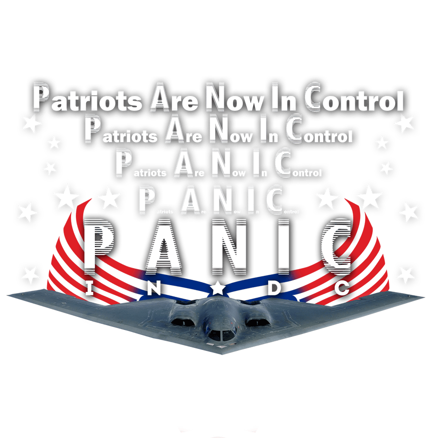 Image of PANIC IN DC Next Level Tee