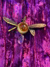 Image 1 of Cicadeye