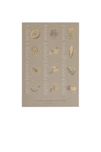 Image 1 of Seasonal Fruit + Vegetable Letterpress Poster