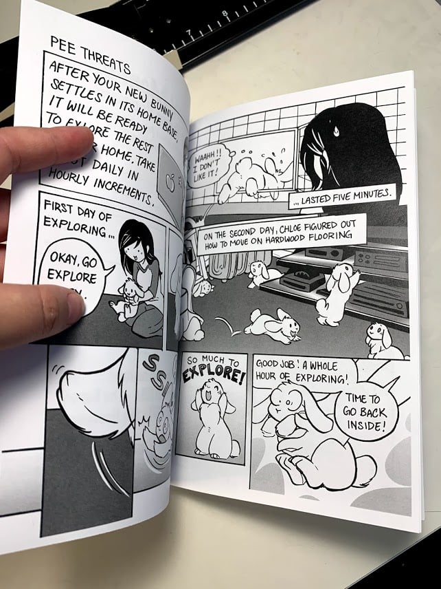 Bunny Mom Issue 6: Bunny Versus Hoomans