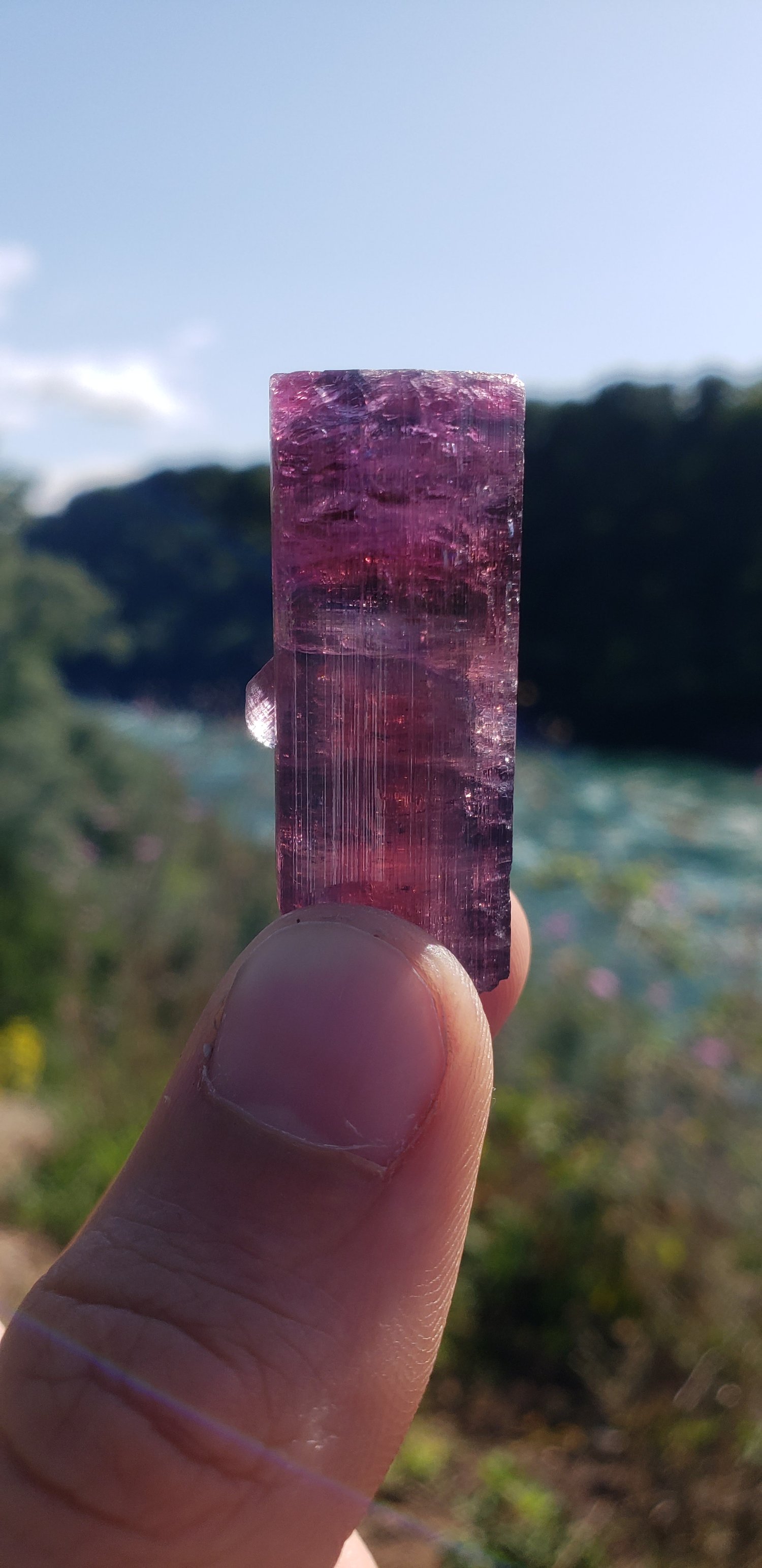 Image of Coronel Murta Tourmaline