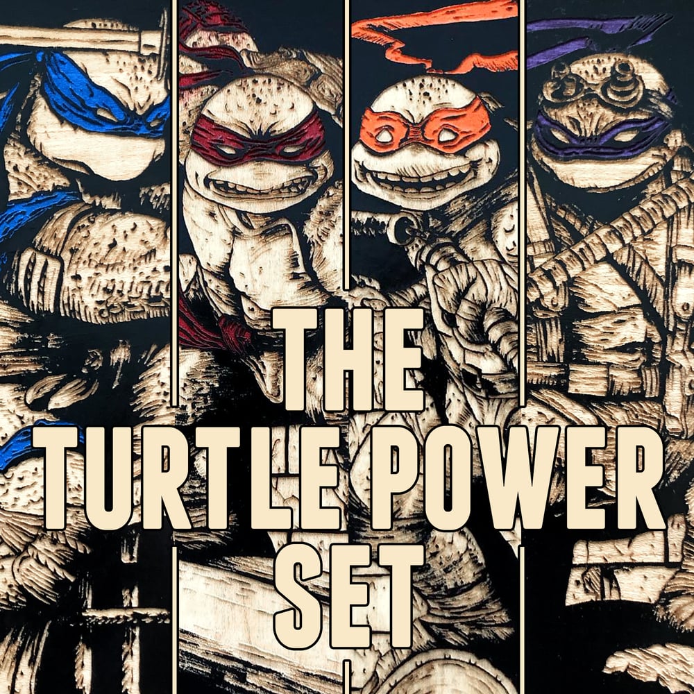 Image of The Turtle Power Set