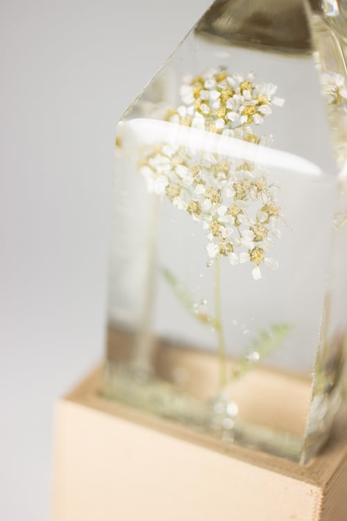 Image of Yarrow (Achillea millefolium) - Floral Prism Light #1