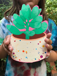 Image 2 of Confetti-Funfetti Succulents 