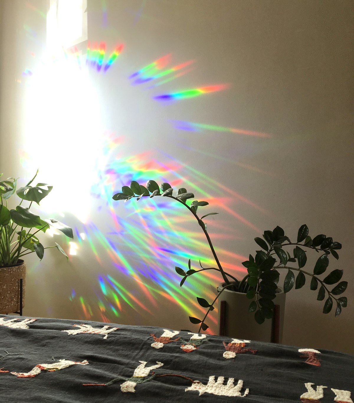 Image of Rainbow Window Decals