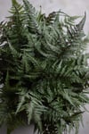 Floral Fundamentals :: FOLIAGE FIRST