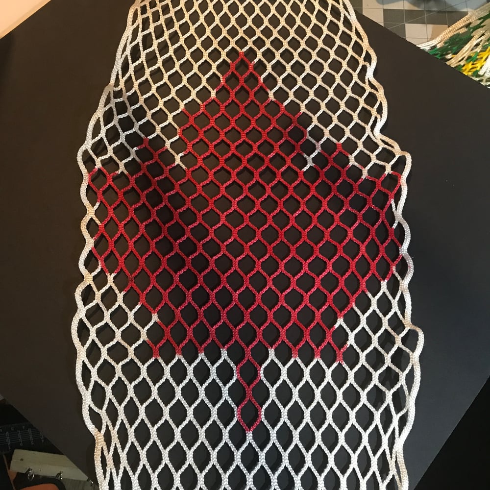 Image of Custom Designed Goalie mesh