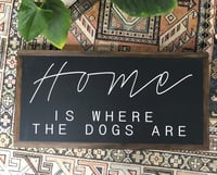 Home is where the dogs are 