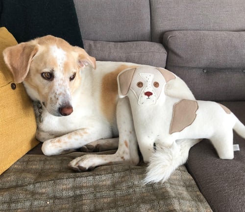 Image of custom animal pillow