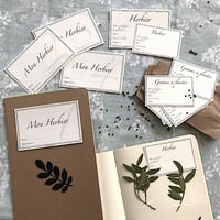 Image 3 of ETIQUETTES MON HERBIER ou GRAINES À PLANTER