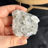 Image 2 of Apophyllite Specimens ($10-$12)