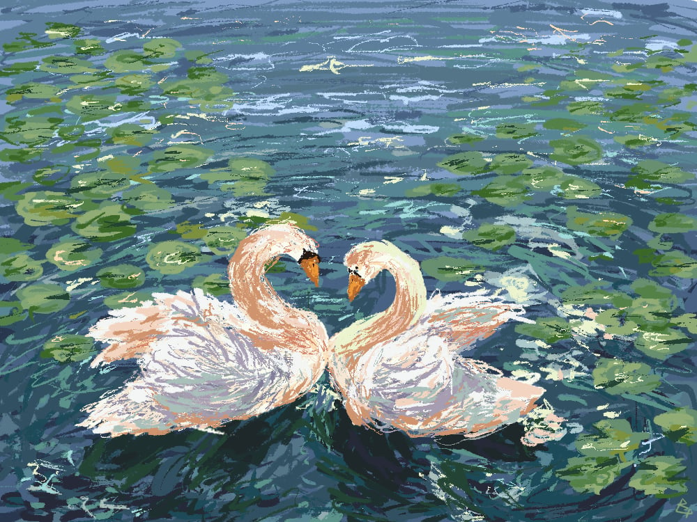 Image of swans