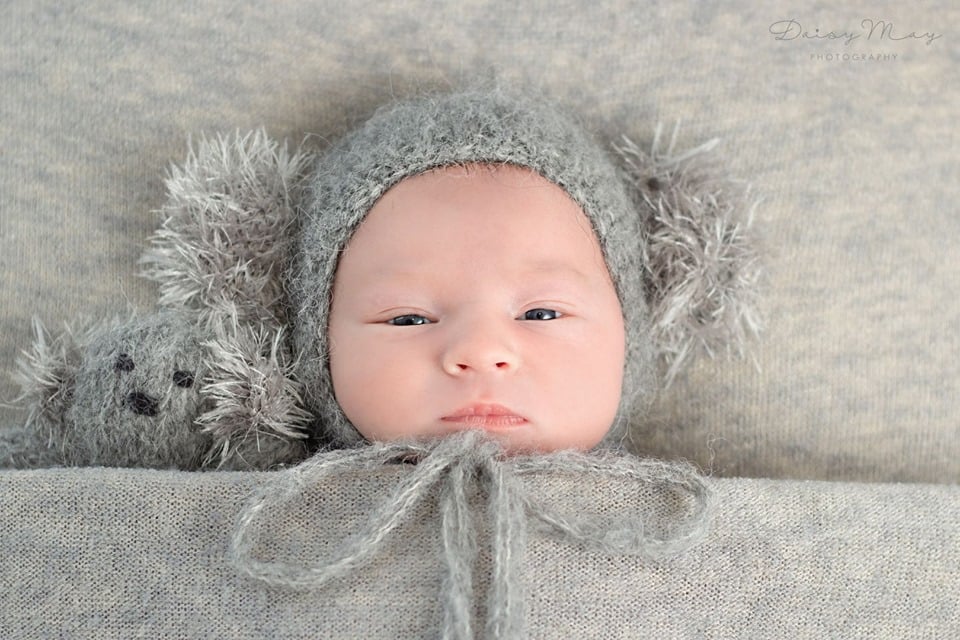 Image of Hand knit Koala stuffie & Newborn Koala Bonnet