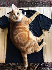 Image 5 of "Lots of Cats" Shirt (Black) - Drawing by Allie