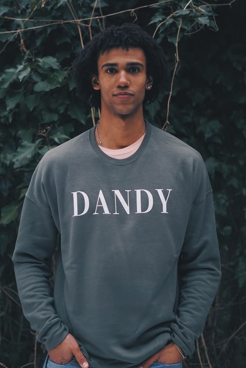 Image of Forrest Moss DANDY Unisex Vogue Sweatshirt 