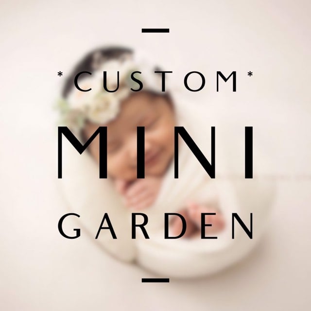 Image of *CUSTOM* Mini garden
