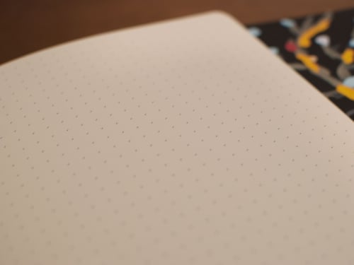 Image of The miracle girl notebook