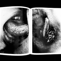 Image 21 of Nobuyoshi Araki: The Iota of Life and Death by Shunji Ito