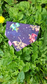 Image 1 of Wyvern | Pet Bandana