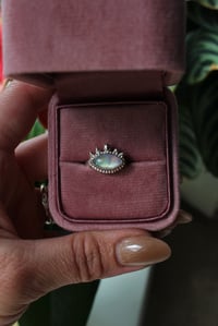 Image 4 of Eye of Protection