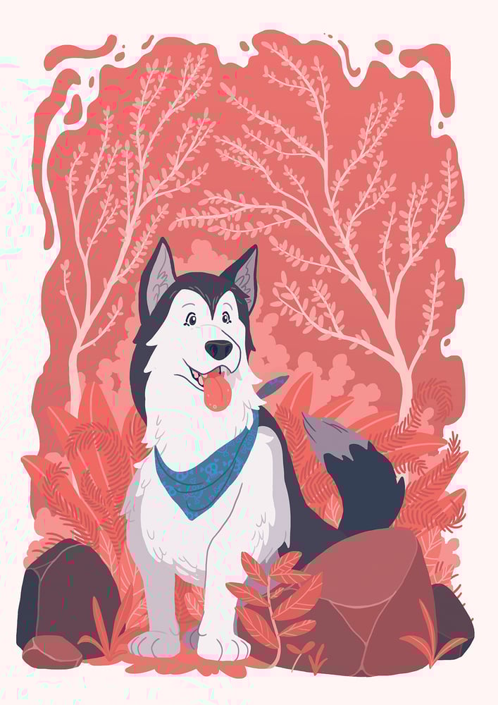 Image of Bear