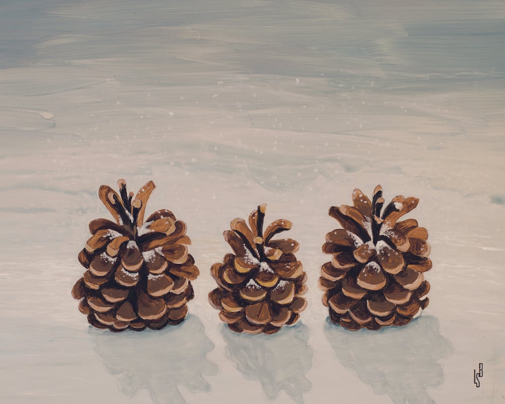 Image of Family of pinecones