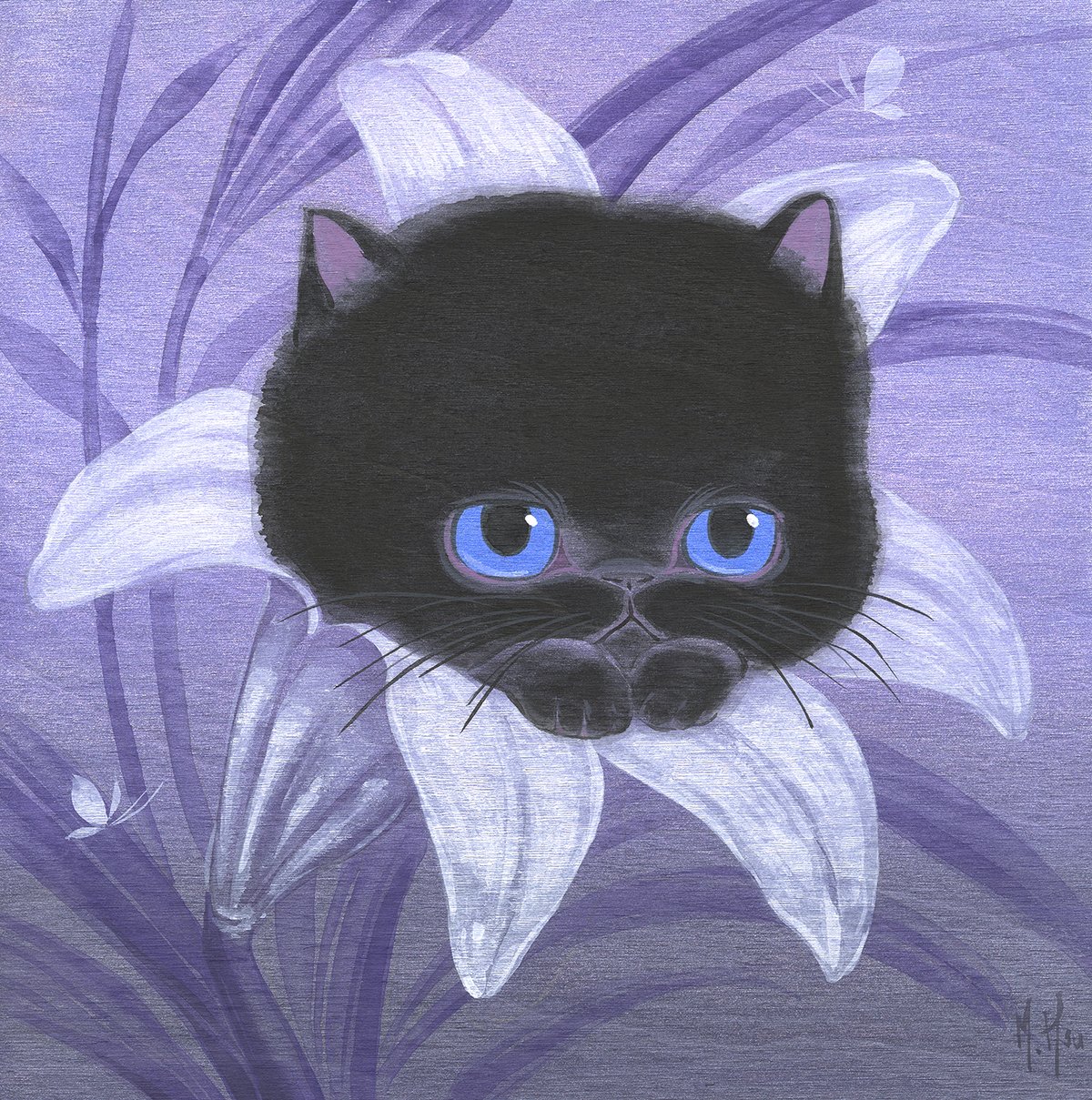 Black Kitten - Prints