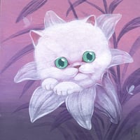 White Kitten - Prints