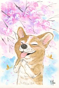 Corgi Cherry Blossoms - Prints