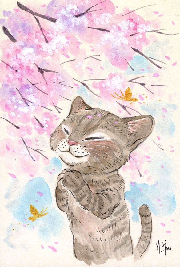 Cat Cherry Blossoms - Prints