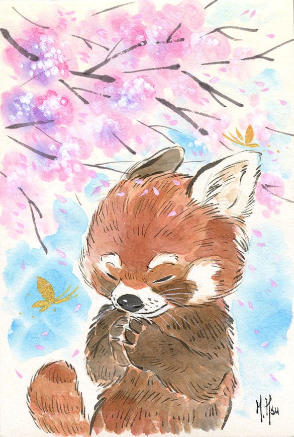 Red Panda Cherry Blossoms 11 x 14" Print